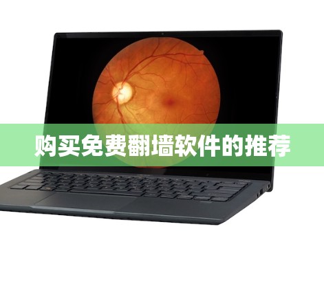 购买免费<strong>翻墙</strong>软件的推荐