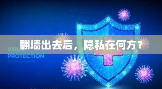 <strong>翻墙</strong>出去后,隐私在何方?