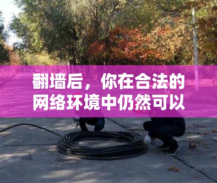 <strong>翻墙</strong>后,你在合法的网络环境中仍然可以使用多种软件和应用,但需要注意以下几点