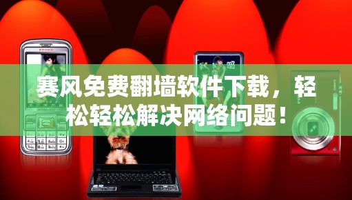 赛风免费<strong>翻墙</strong>软件下载,轻松轻松解决网络问题!