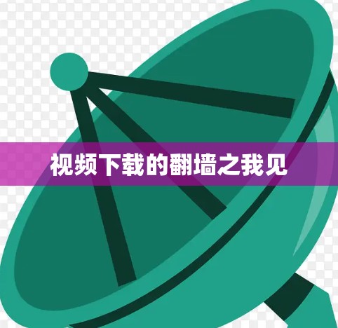 视频下载的<strong>翻墙</strong>之我见