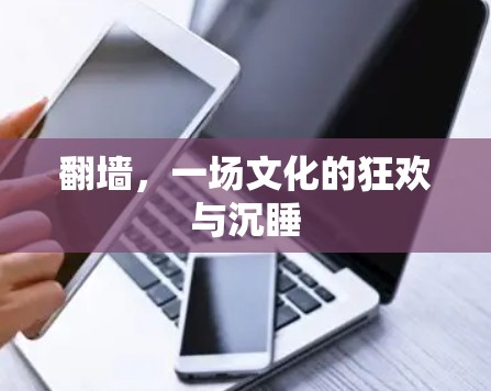 <strong>翻墙</strong>,一场文化的狂欢与沉睡