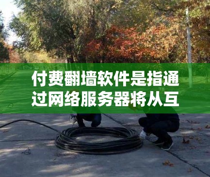付费<strong>翻墙</strong>软件是指通过网络服务器将从互联网访问的资源转移到另一端的服务器,通常用于保护用户隐私或安全。以下是常见的付费<strong>翻墙</strong>软件及其特点