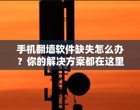手机<strong>翻墙</strong>软件缺失怎么办？你的解决方案都在这里