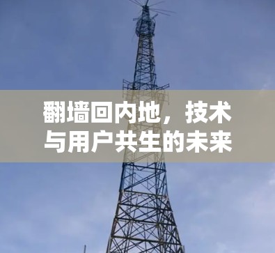 <strong>翻墙</strong>回内地，技术与用户共生的未来之思