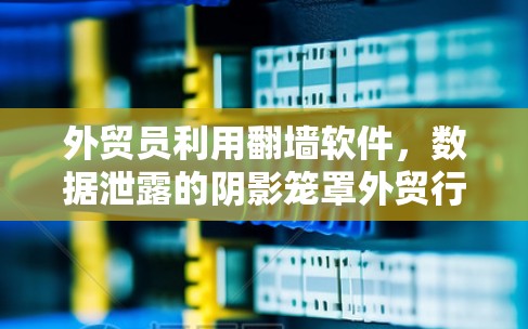 外贸员利用<strong>翻墙</strong>软件，数据泄露的阴影笼罩外贸行业