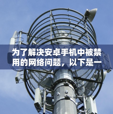为了解决安卓手机中被禁用的网络问题，以下是一步步的解决方案