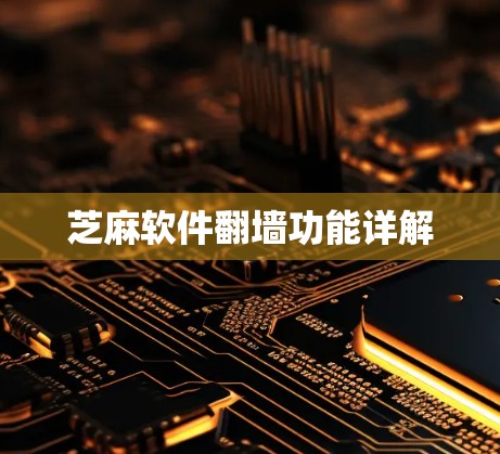 芝麻软件<strong>翻墙</strong>功能详解