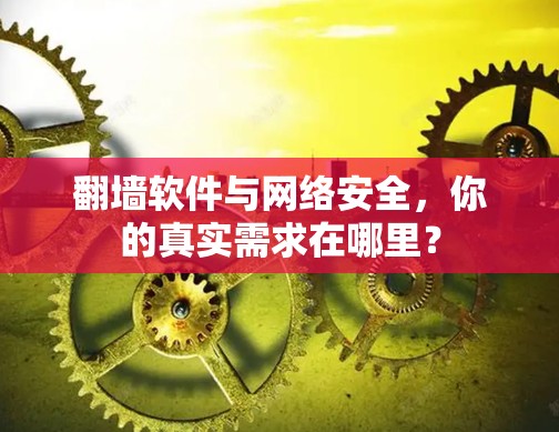 <strong>翻墙</strong>软件与网络安全，你的真实需求在哪里？
