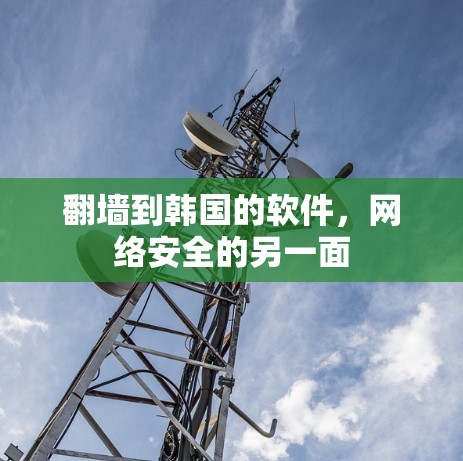<strong>翻墙</strong>到韩国的软件，网络安全的另一面