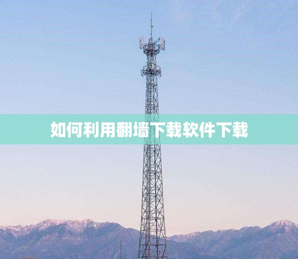 如何利用<strong>翻墙</strong>下载软件下载