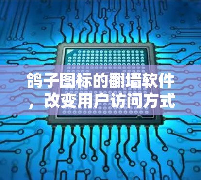 鸽子图标的<strong>翻墙</strong>软件，改变用户访问方式的创新解决方案