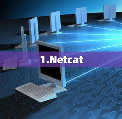 1.Netcat