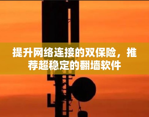 提升网络连接的双保险,推荐超稳定的<strong>翻墙</strong>软件