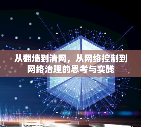 从<strong>翻墙</strong>到清网,从网络控制到网络治理的思考与实践