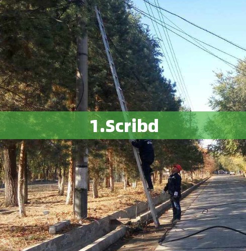 1.Scribd
