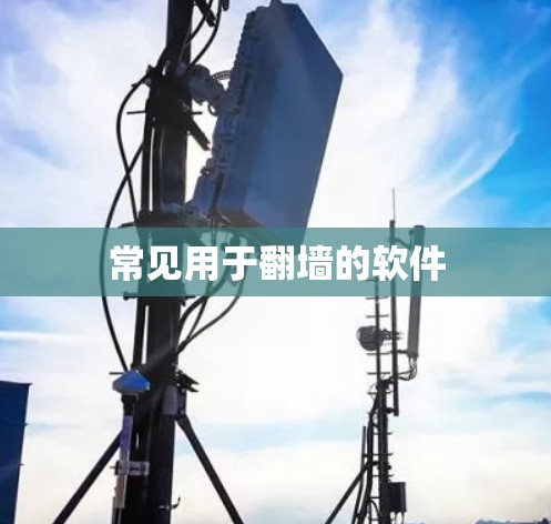 常见用于<strong>翻墙</strong>的软件