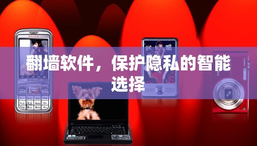 <strong>翻墙</strong>软件,保护隐私的智能选择
