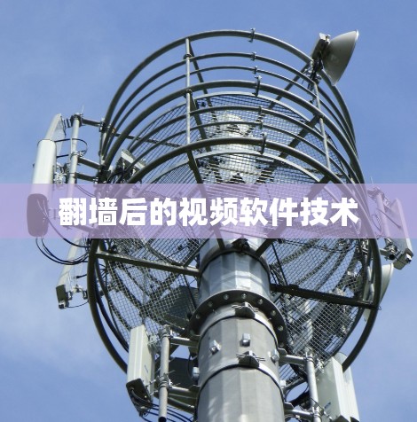 <strong>翻墙</strong>后的视频软件技术