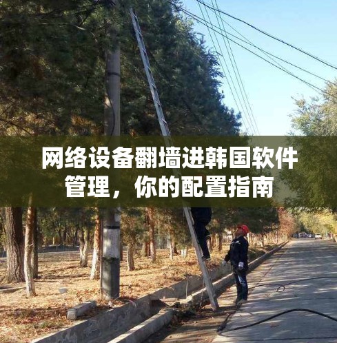 网络设备<strong>翻墙</strong>进韩国软件管理，你的配置指南