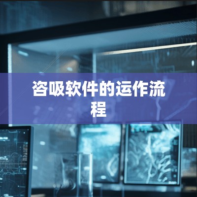 咨吸软件的运作流程