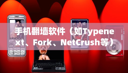 手机<strong>翻墙</strong>软件（如Typenext、Fork、NetCrush等）通过复制外部的网络IP地址到手机内部的网络中，实现对外网的访问和使用。以下是使用这些软件的基本步骤和注意事项