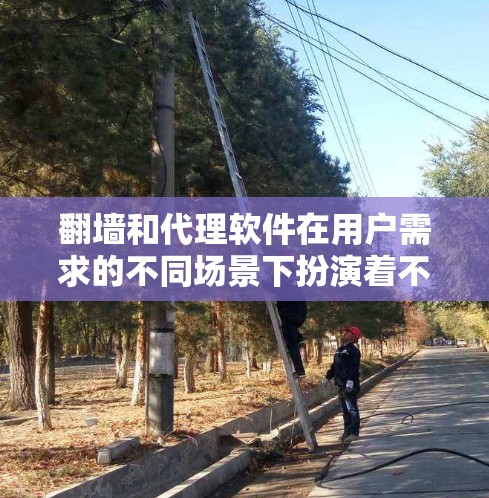 <strong>翻墙</strong>和代理软件在用户需求的不同场景下扮演着不同的角色。以下是对这两种工具的详细分析