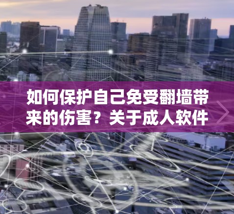 如何保护自己免受<strong>翻墙</strong>带来的伤害？关于成人软件的思考