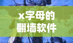 x字母的<strong>翻墙</strong>软件，威胁的解决方案