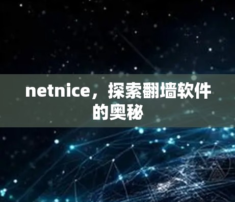 netnice，探索<strong>翻墙</strong>软件的奥秘