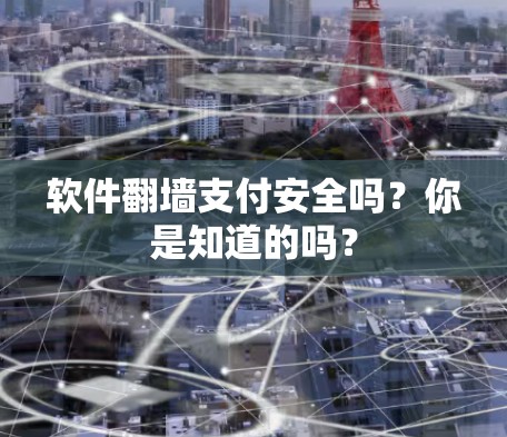 软件<strong>翻墙</strong>支付安全吗?你是知道的吗?