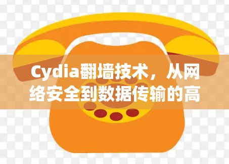 Cydia<strong>翻墙</strong>技术,从网络安全到数据传输的高效解决方案