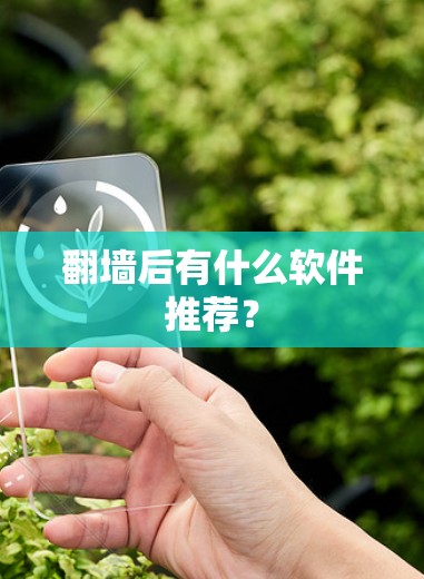 <strong>翻墙</strong>后有什么软件推荐?