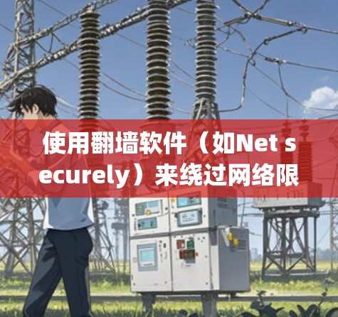 使用<strong>翻墙</strong>软件(如Net securely)来绕过网络限制,以下是分步骤的指南