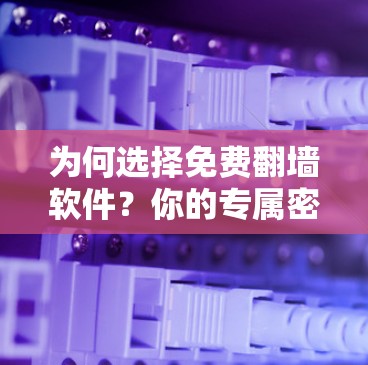 为何选择免费<strong>翻墙</strong>软件?你的专属密码