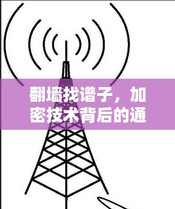 <strong>翻墙</strong>找谱子,加密技术背后的通信秘密