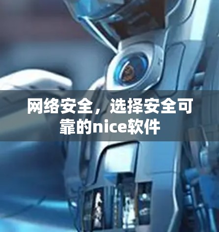网络安全,选择安全可靠的nice软件