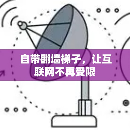 自带<strong>翻墙</strong>梯子,让互联网不再受限