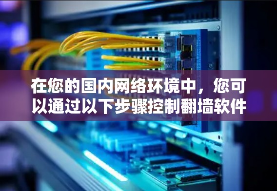 在您的国内网络环境中,您可以通过以下步骤控制<strong>翻墙</strong>软件
