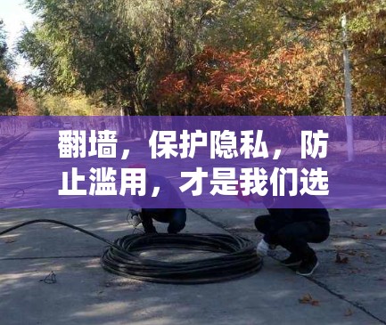 <strong>翻墙</strong>，保护隐私，防止滥用，才是我们选择的