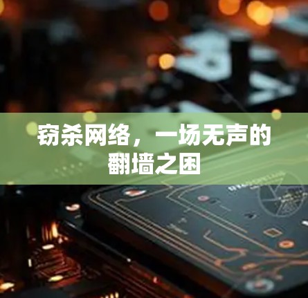 窃杀网络，一场无声的<strong>翻墙</strong>之困