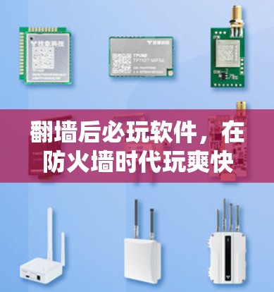 <strong>翻墙</strong>后必玩软件，在防火墙时代玩爽快游戏
