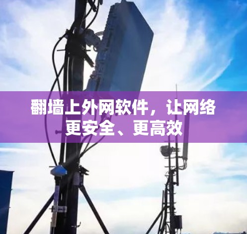 <strong>翻墙</strong>上外网软件，让网络更安全、更高效