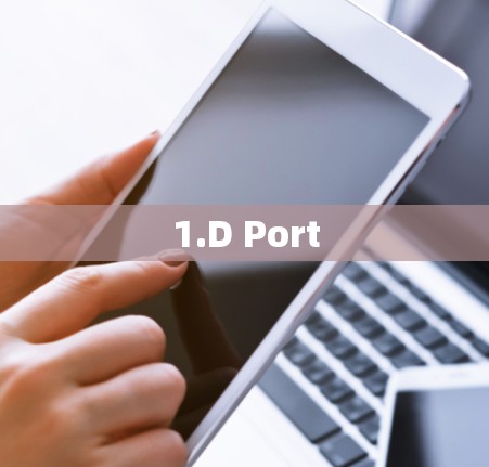 1.D Port