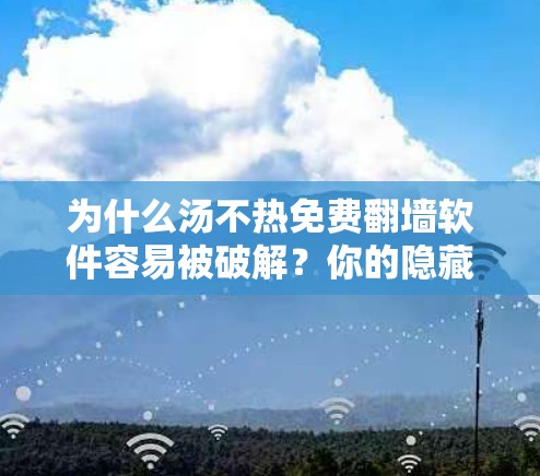 为什么汤不热免费<strong>翻墙</strong>软件容易被破解？你的隐藏威胁暴露在了这里