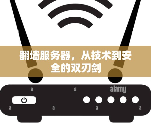 <strong>翻墙</strong>服务器，从技术到安全的双刃剑