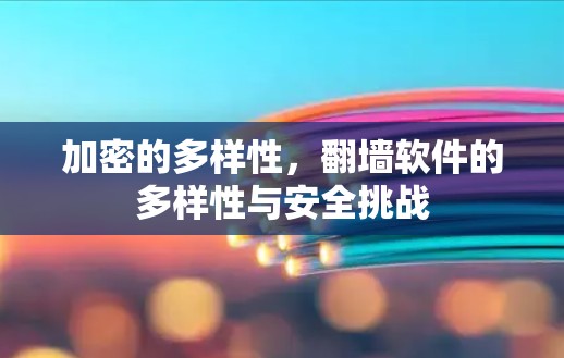 加密的多样性,<strong>翻墙</strong>软件的多样性与安全挑战