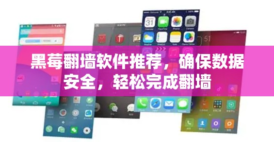 黑莓<strong>翻墙</strong>软件推荐,确保数据安全,轻松完成<strong>翻墙</strong>