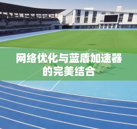 网络优化与蓝盾加速器的完美结合 网络优化与蓝盾加速器的完美结合