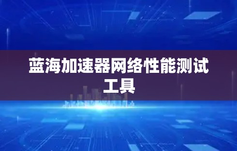 蓝海加速器网络性能测试工具 蓝海加速器网络性能测试工具